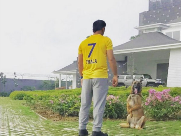 thala dhoni t shirt