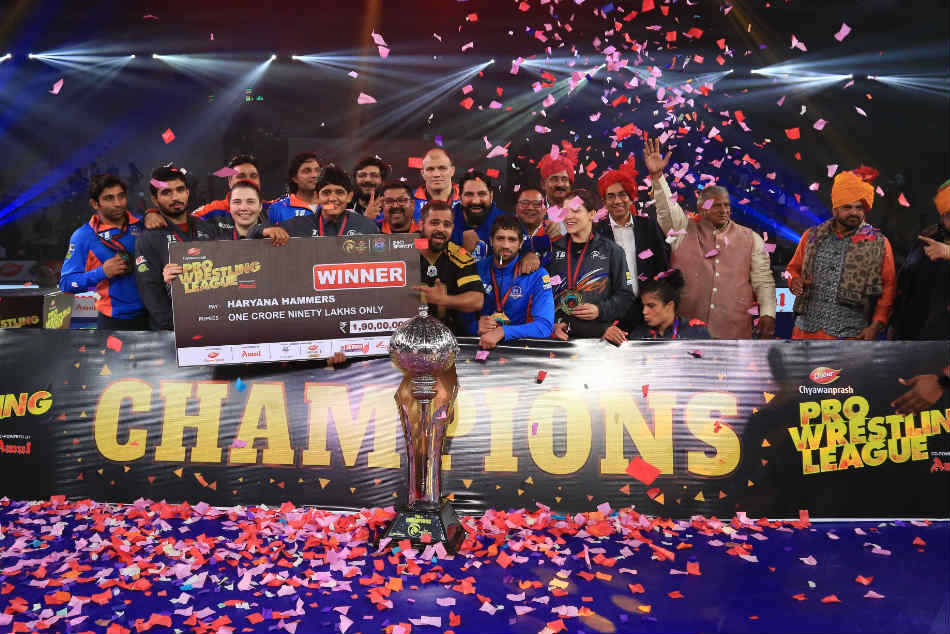 Haryana Hammers Punjab Win Pwl 4 Title