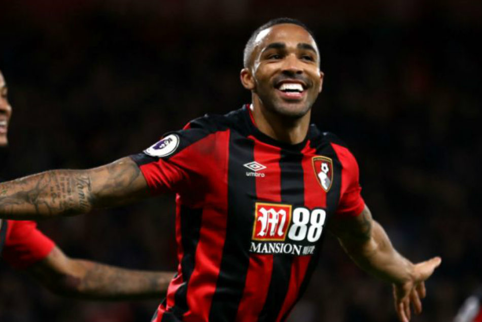 Callum Wilson- 13 points