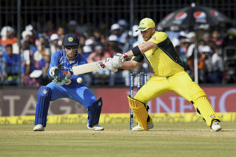 Cricket
