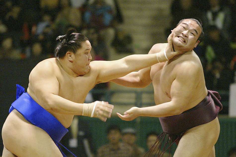 sumo wrestler