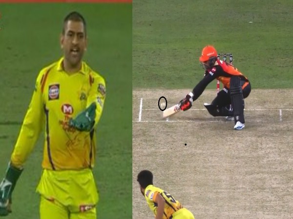 IPL 2020: CSK vs SRH: "Fearing MS Dhoni's rage, umpire Paul Reiffel changed his decision", say Twitterati - myKhel