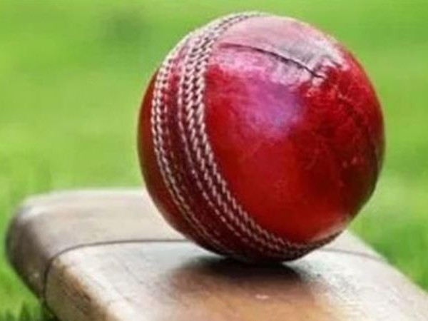 cricket cricket