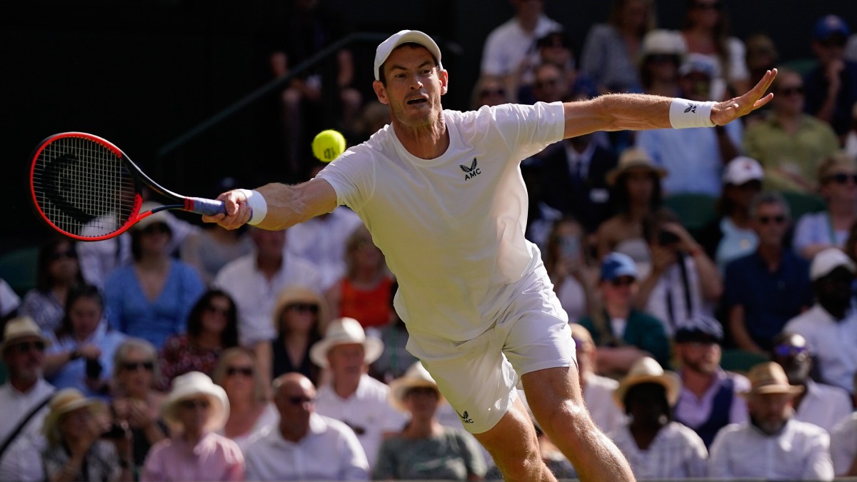 Murray May Play Wimbledon Doubles With Brother Jamie