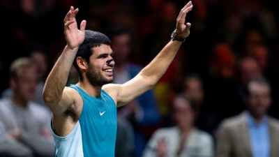Rotterdam Open: Alcaraz perfect in last-eight clash